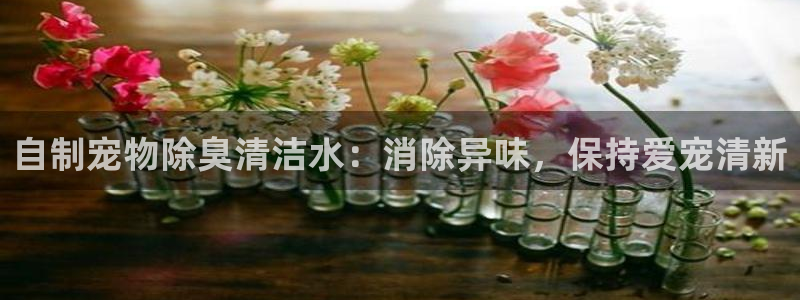尊龙d88官网可靠送38元