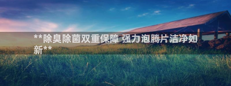尊龙人生就是博首页入口：**除臭除菌双重保障 强力泡腾片
