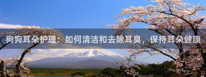 尊龙凯时凯发官网