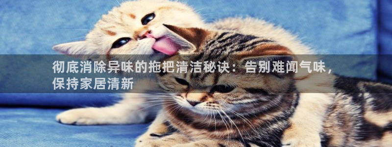 尊龙凯时公司官网
