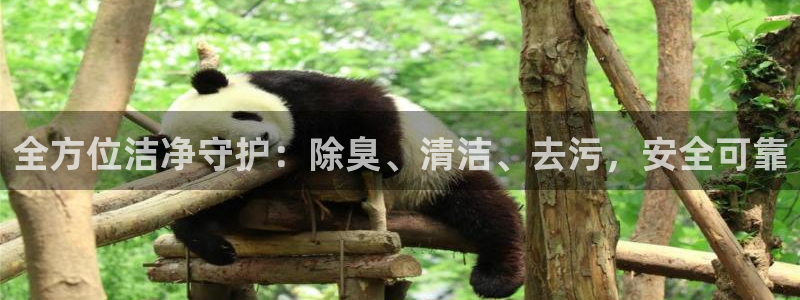 尊龙凯时人生就是搏包装优势