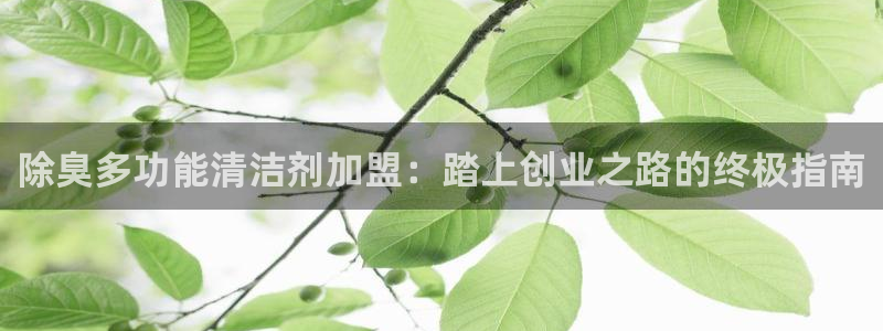 尊龙新版手机app下载