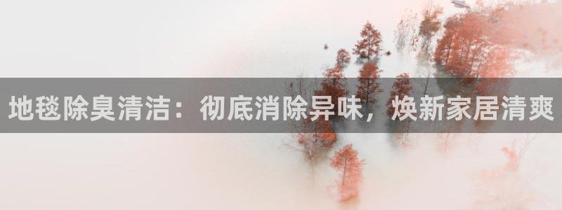 尊龙凯时人生就是搏技术实力