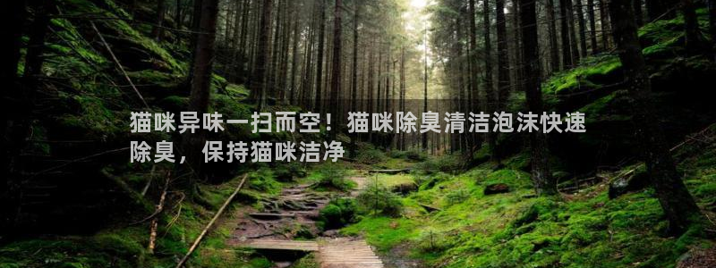 尊龙现在：猫咪异味一扫而空！猫咪除臭清洁泡沫快速
除臭，