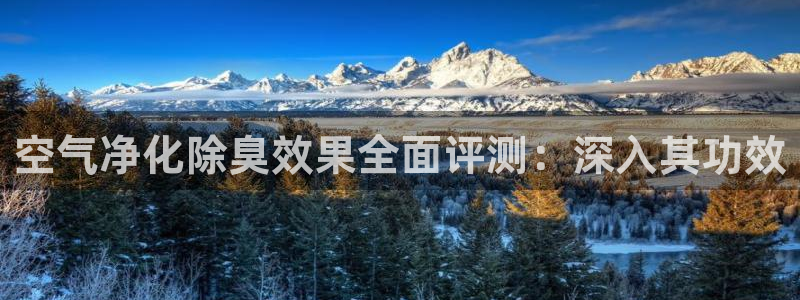 尊龙凯时代理能提出来不