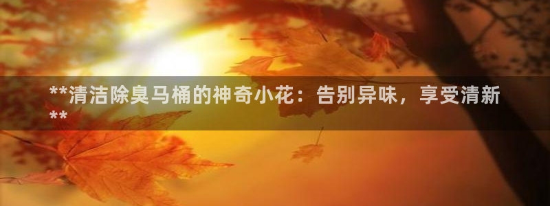 尊龙t500和t300区别