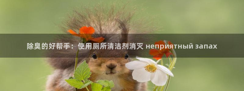 尊龙集团有限公司招聘
