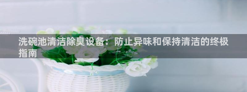 尊龙凯时的企业文化