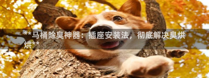 尊龙新版app首页