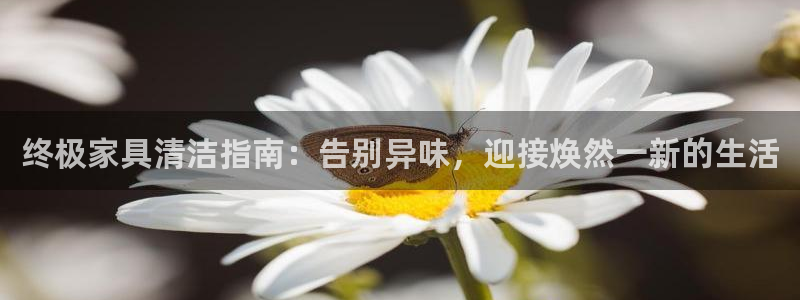 凯时国际最新
