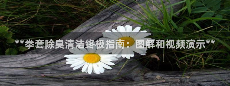 凯时登录平台去AG发财网：**拳套除臭清洁终极指南：图解