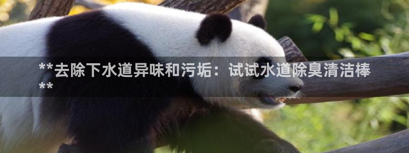 尊龙凯时产品种类