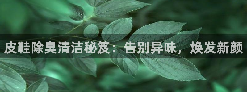 尊龙网址是选访问zd207