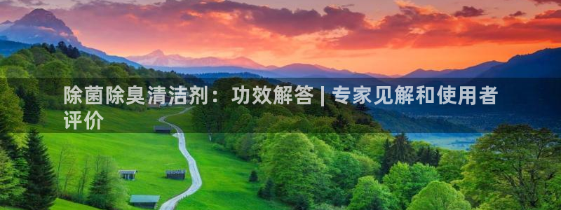 尊龙官方网站首页：除菌除臭清洁剂：功效解答 | 专家见解
