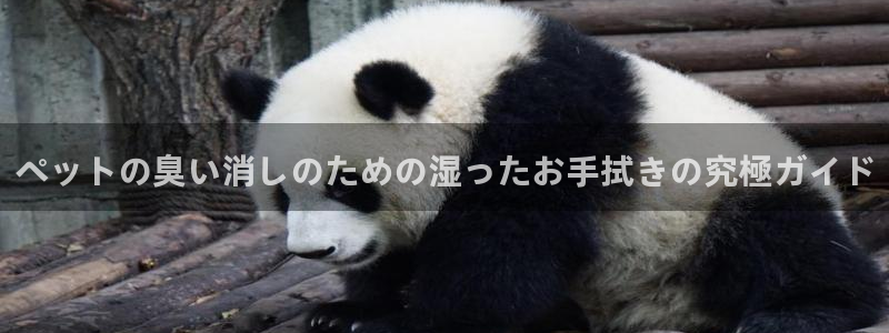 尊龙登录地址：ペットの臭い消しのための湿ったお手拭きの究