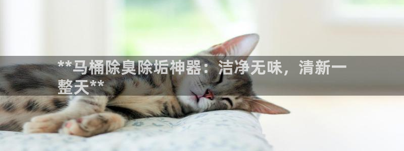 尊龙app登录不了：**马桶除臭除垢神器：洁净无味，清新