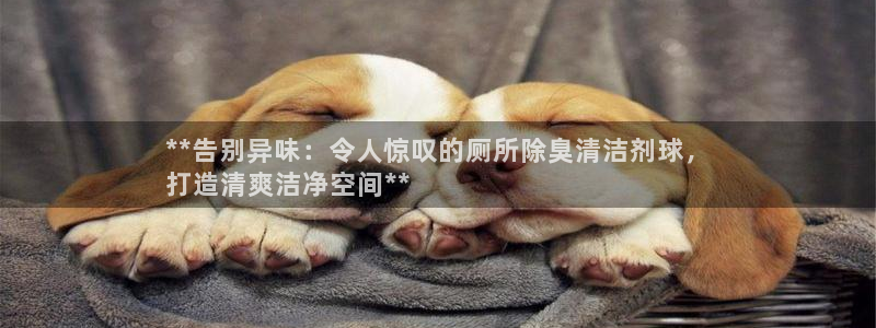 尊龙凯时网站登录：**告别异味：令人惊叹的厕所除臭清洁剂