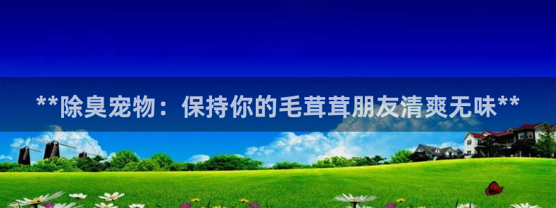 尊龙t600怎么样