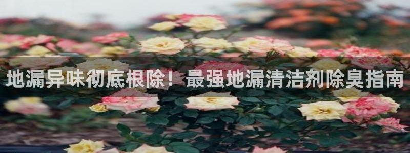 尊龙凯时有封银行卡的吗
