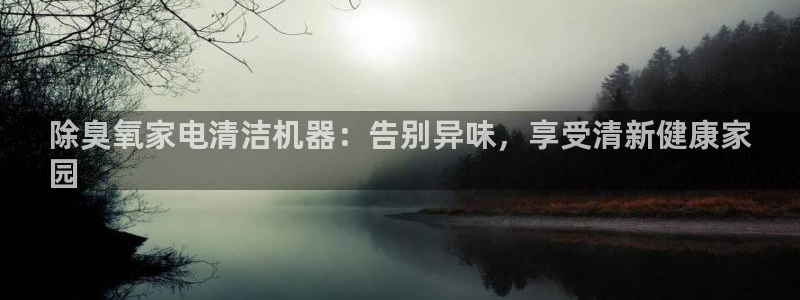 z6尊龙官方网站：除臭氧家电清洁机器：告别异味，享受清新