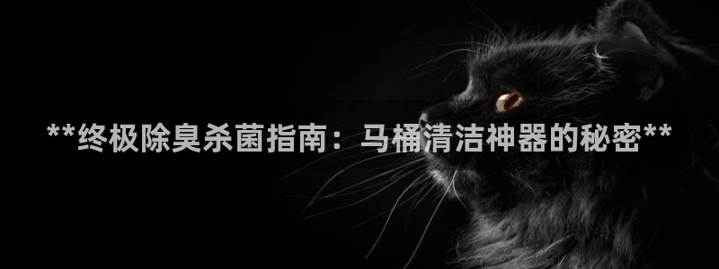 凯时旗舰厅App下载