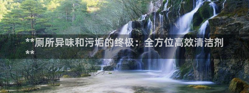 尊龙游戏官网：**厕所异味和污垢的终极：全方位高效清洁剂