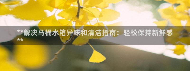 凯时网址多少