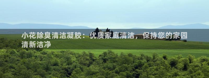 尊龙凯时处理未到账