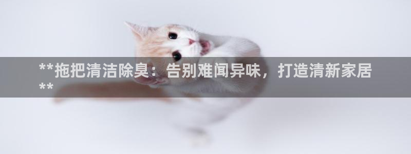 尊龙凯时赞助：**拖把清洁除臭：告别难闻异味，打造清新家
