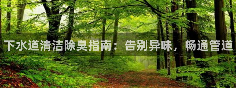 尊龙凯时老板
