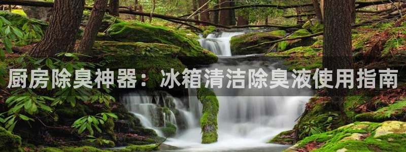 尊龙官网下载