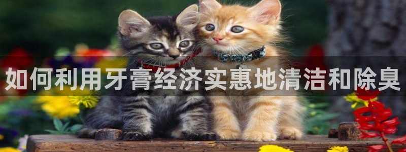 尊龙凯时城游戏官网
