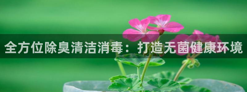 尊龙凯时登录：全方位除臭清洁消毒：打造无菌健康环境