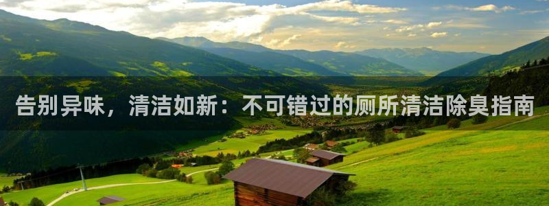 尊龙一人生就是搏：告别异味，清洁如新：不可错过的厕所清洁