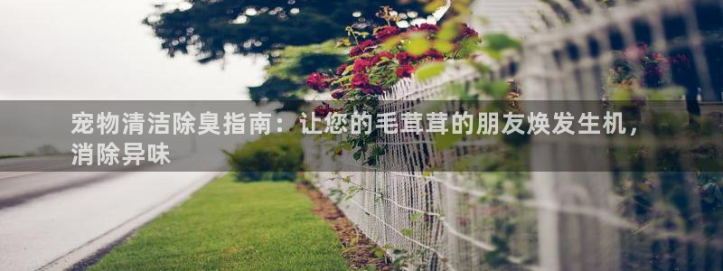 尊龙人生就是博官方官网