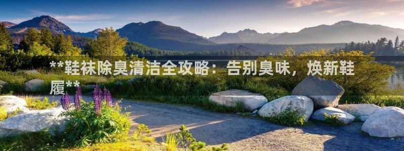 AG尊龙凯时注册：**鞋袜除臭清洁全攻略：告别臭味，焕新