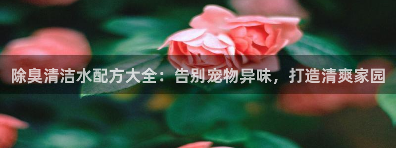 尊龙手机版下载