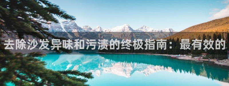 凯时国际app首页登录：去除沙发异味和污渍的终极指南：最