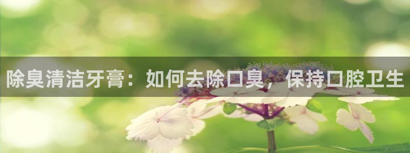 尊龙人生就是博旧版网址