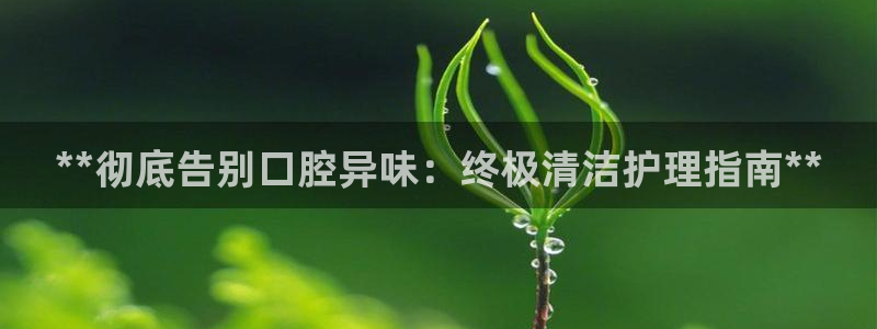 尊龙官方网站最新版V9.3.06介绍