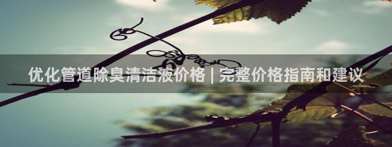 尊龙凯时代理佣金发不发