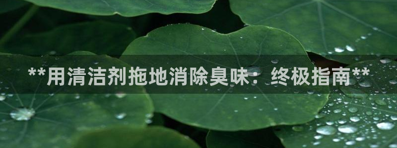 尊龙手机官方客户端下载安卓