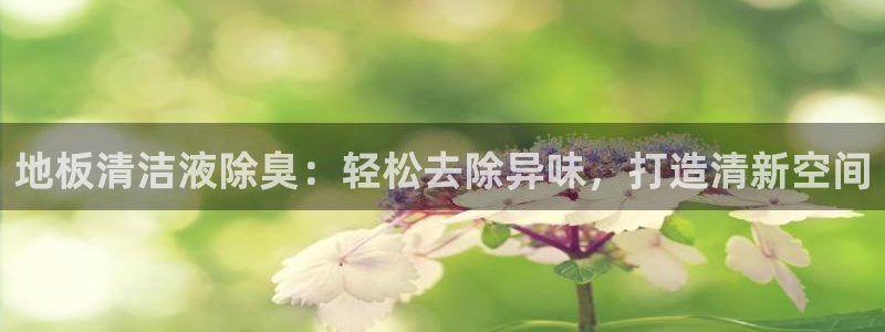 凯时ag旗舰厅网址是什么：地板清洁液除臭：轻松去除异味，