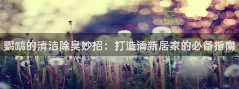 凯时国际app登录：鹦鹉的清洁除臭妙招：打造清新居家的必