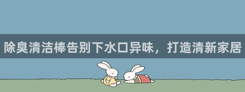 尊龙人生就是博：除臭清洁棒告别下水口异味，打造清新家居