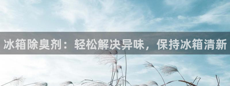 尊龙人生就是博登录：冰箱除臭剂：轻松解决异味，保持冰箱清