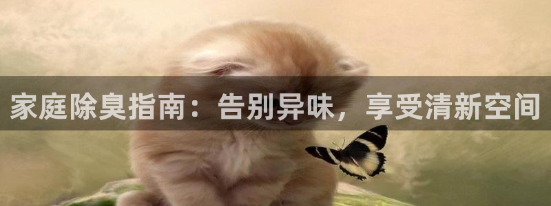 尊龙凯时app产品介绍