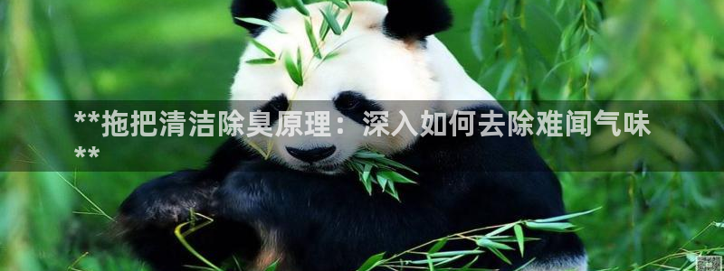 尊龙版末代皇帝