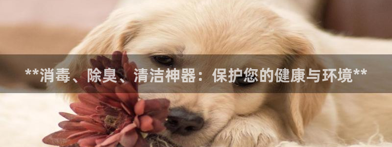 尊龙官网首页