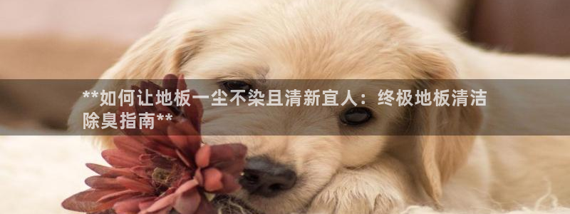 尊龙最经典的三个角色